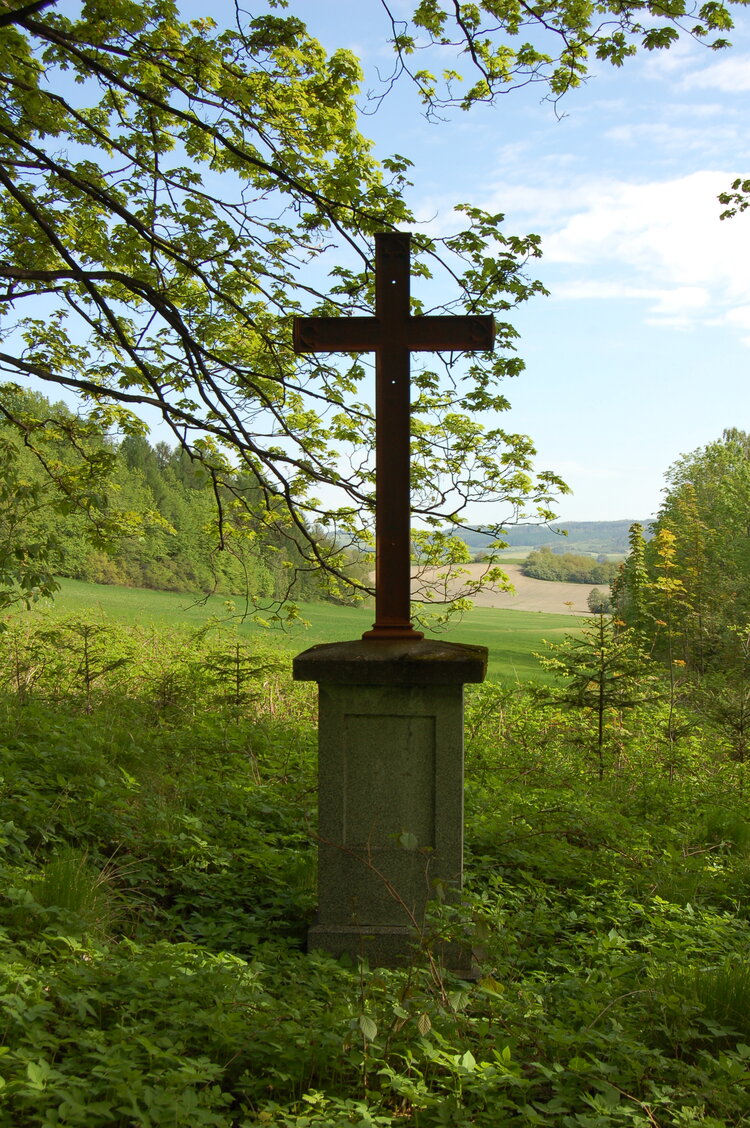 an14084.jpg