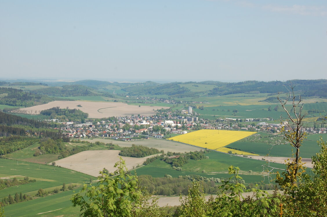 an14098.jpg