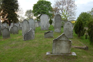 an13918.jpg