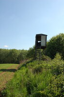 an13945.jpg