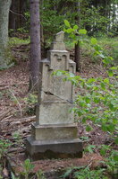 an14043.jpg