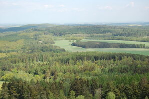 an14060.jpg