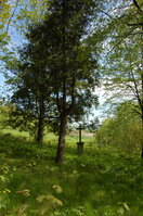 an14090.jpg