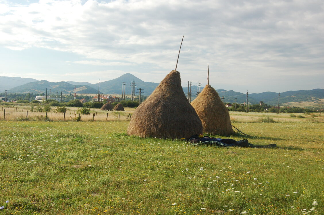 an06100.jpg