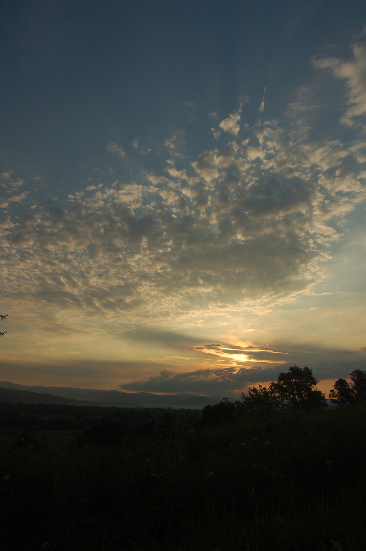an06146.jpg