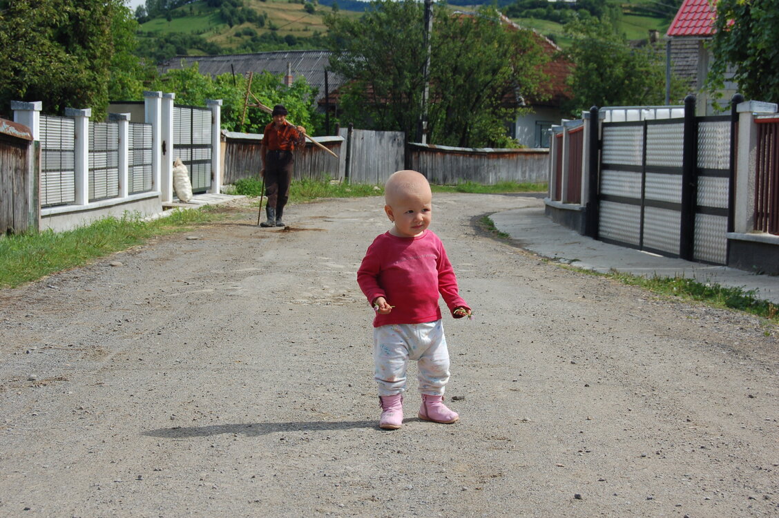 an06254.jpg