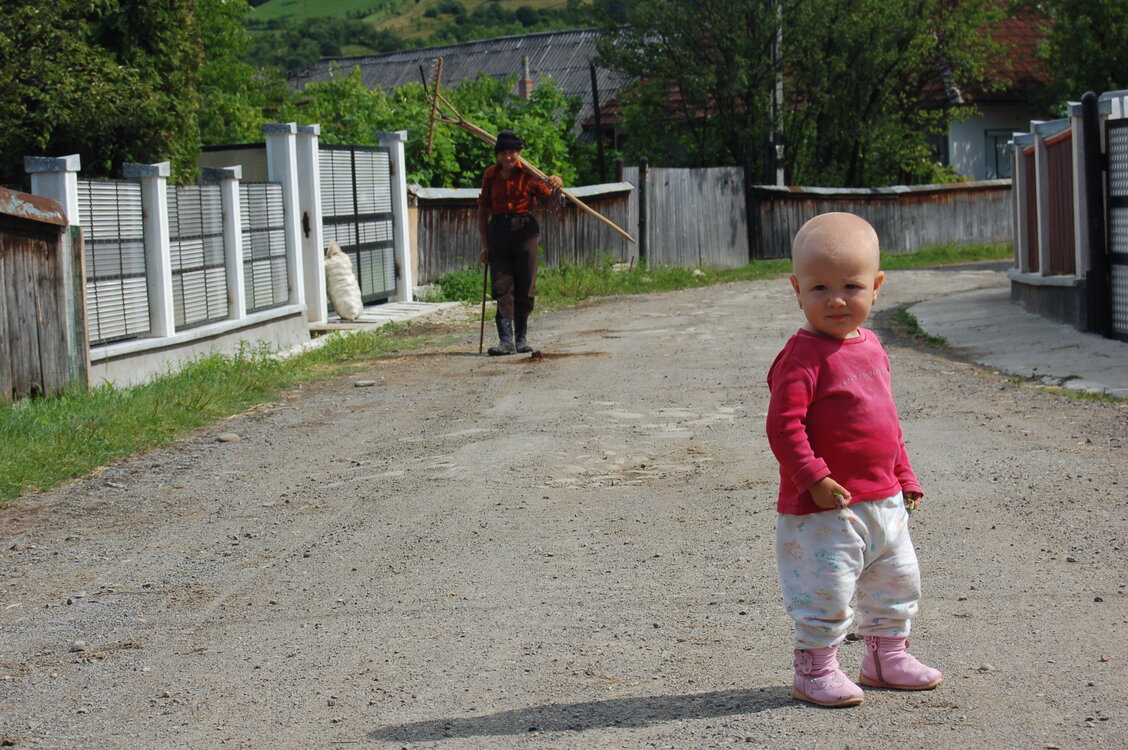 an06255.jpg