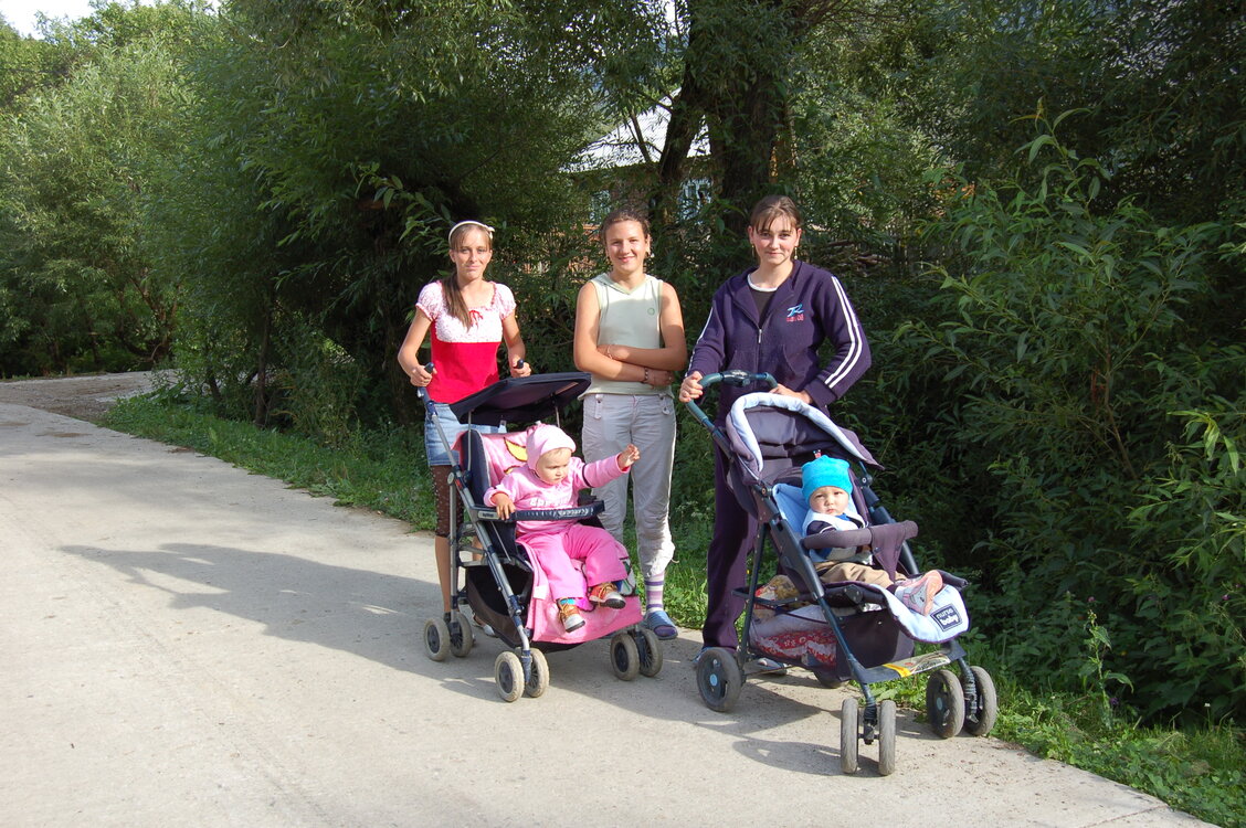 an06264.jpg