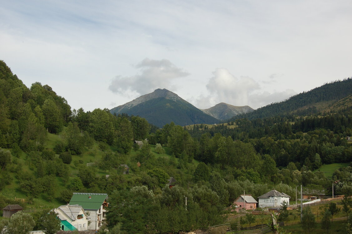 an06268.jpg