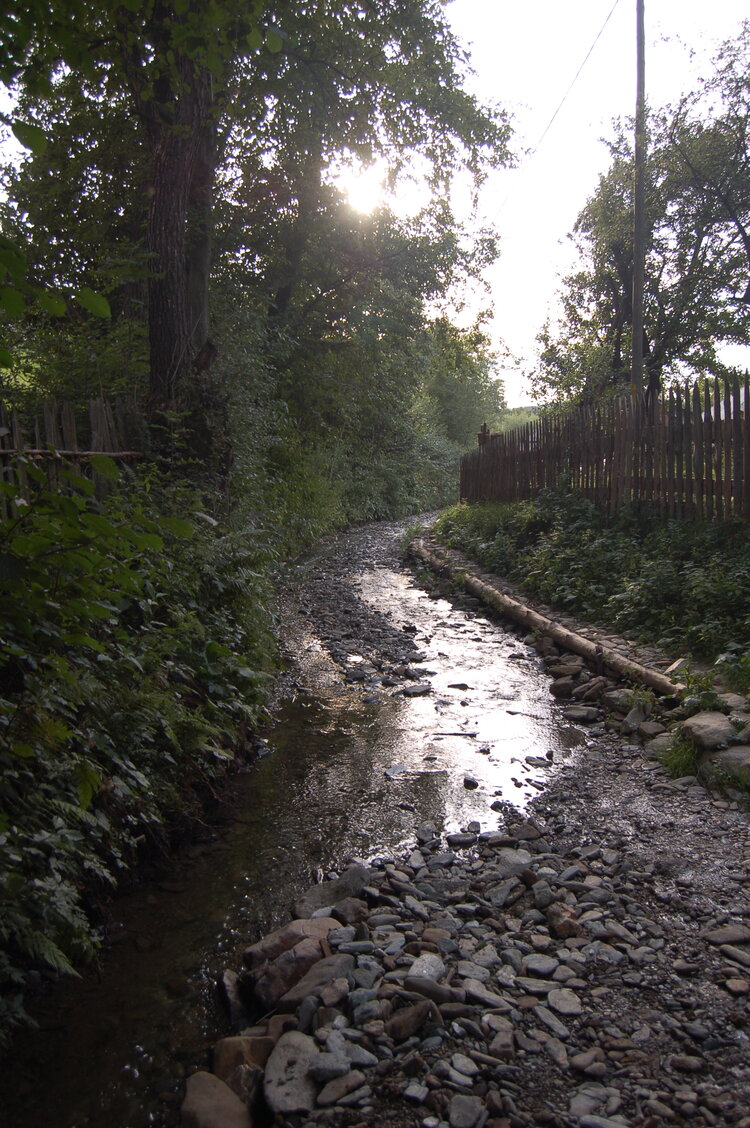 an06273.jpg