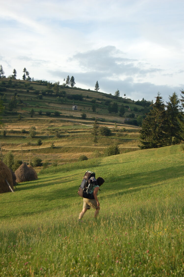 an06274.jpg