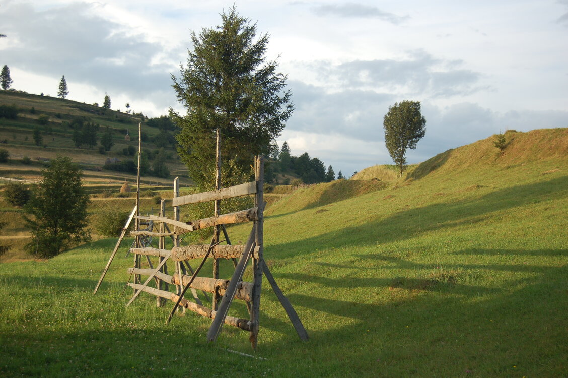 an06279.jpg