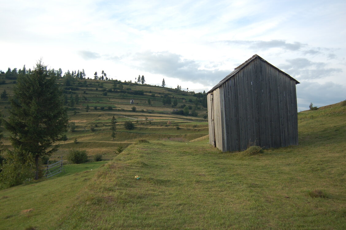 an06280.jpg