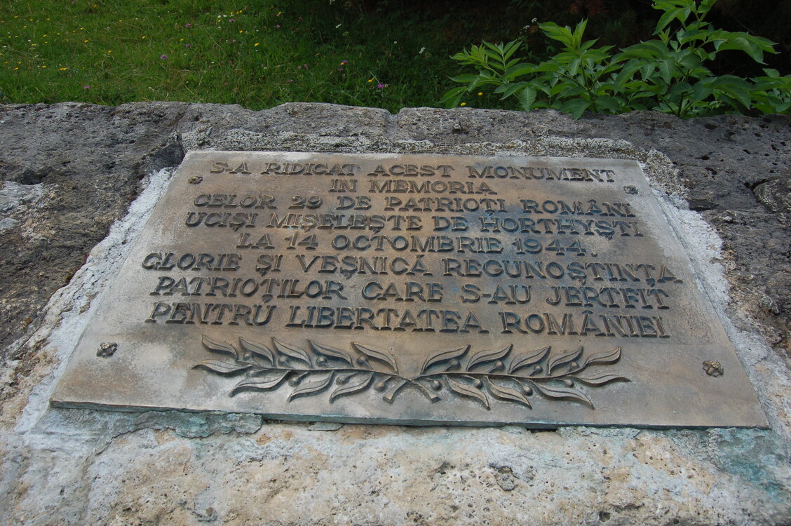 an06309.jpg
