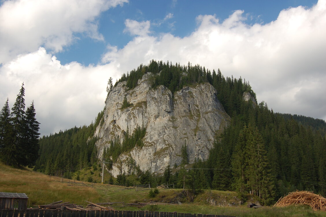 an06320.jpg