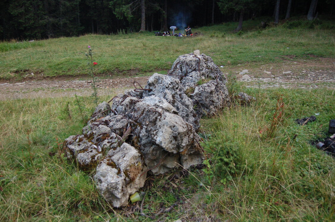an06321.jpg