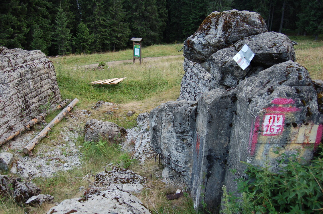 an06326.jpg