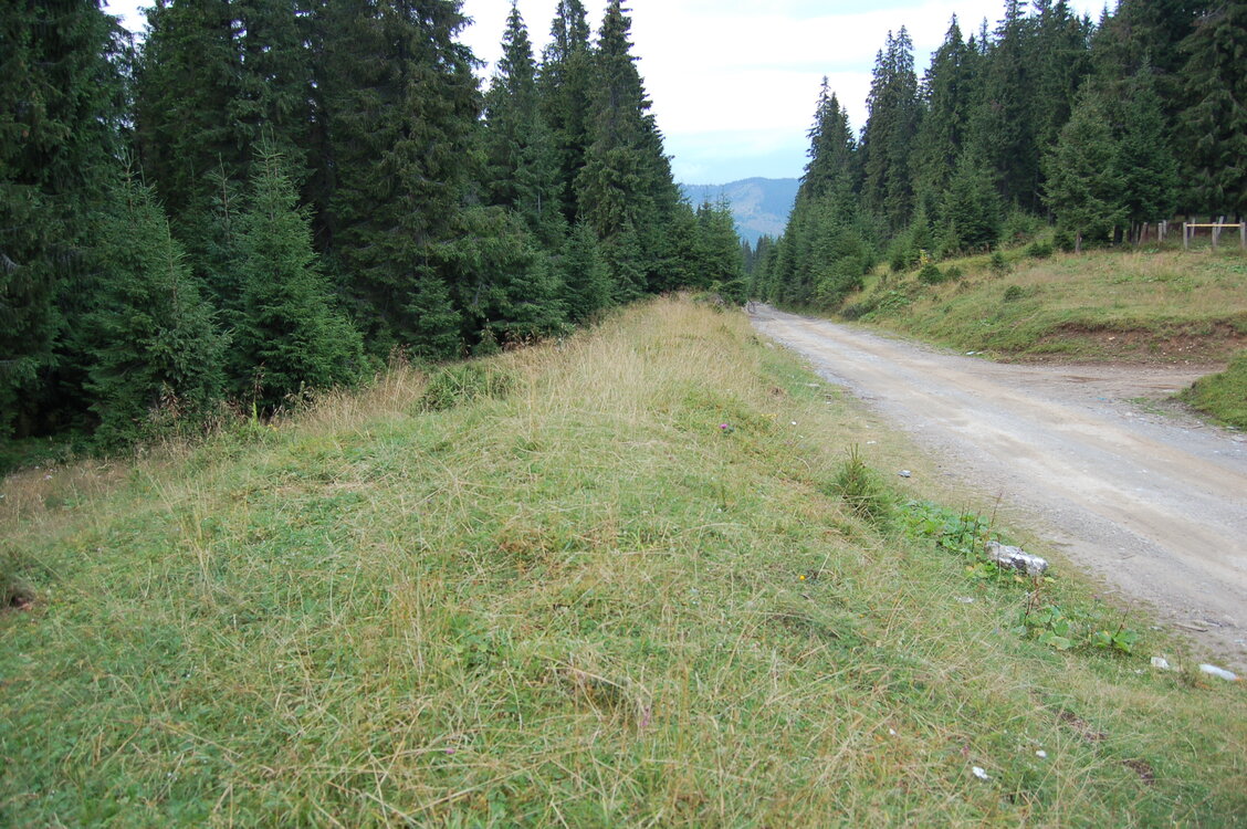 an06329.jpg