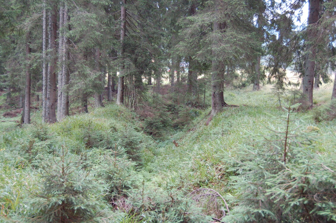 an06332.jpg