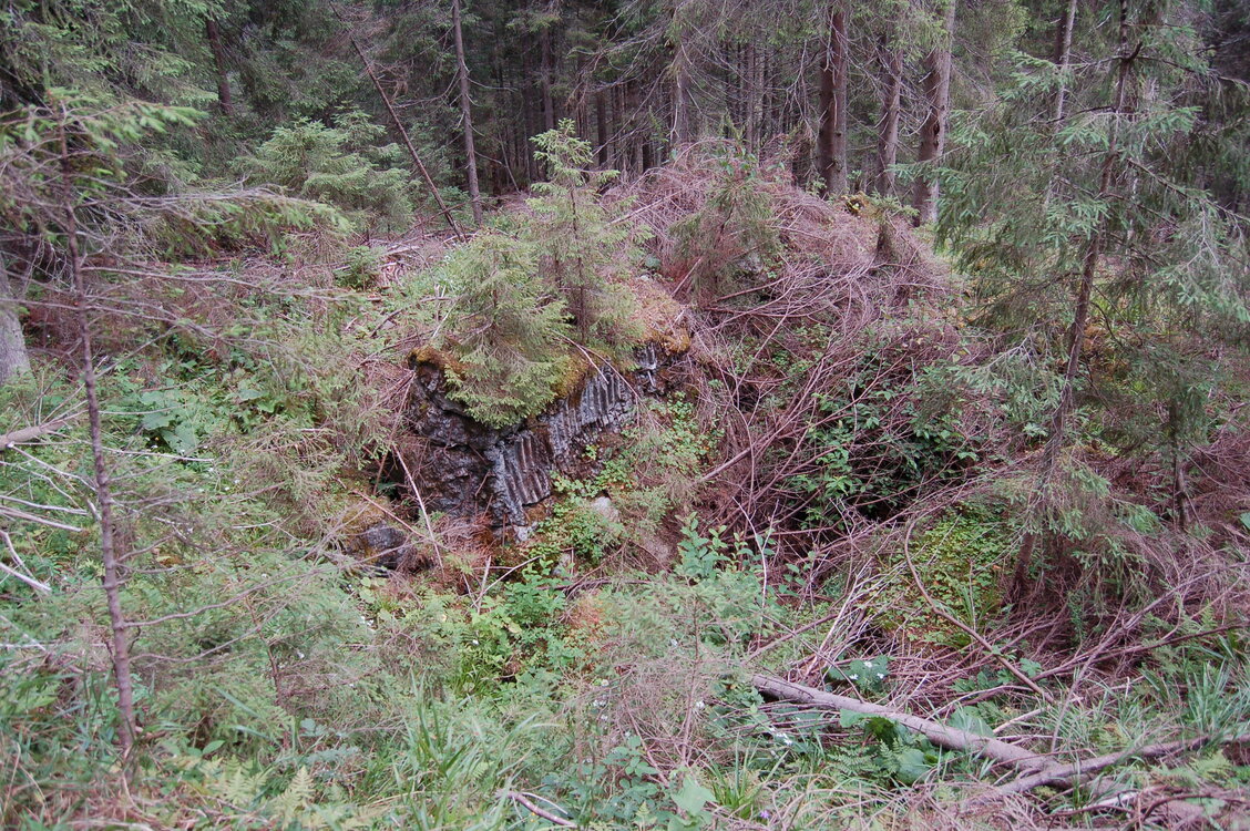 an06335.jpg