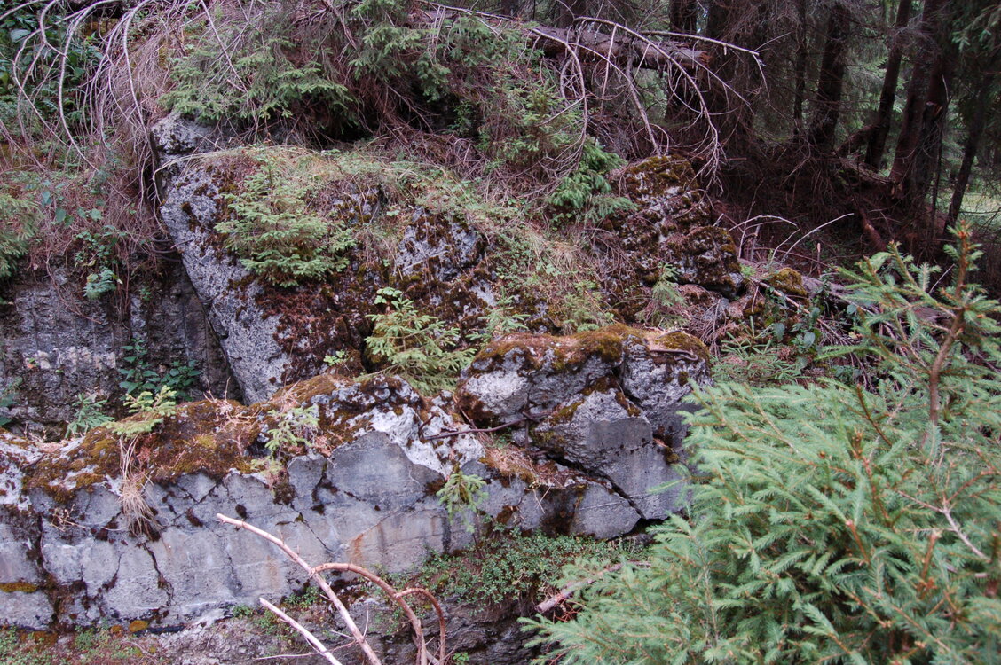 an06339.jpg