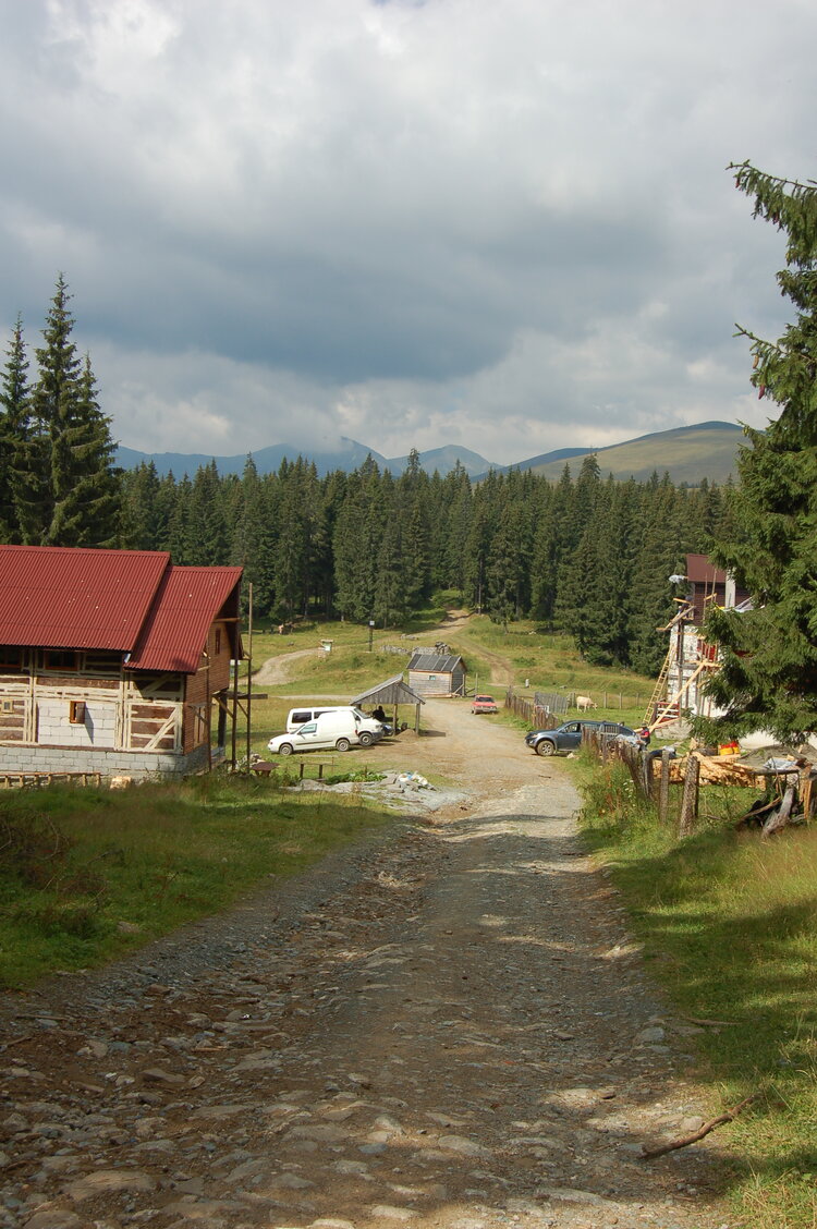 an06343.jpg