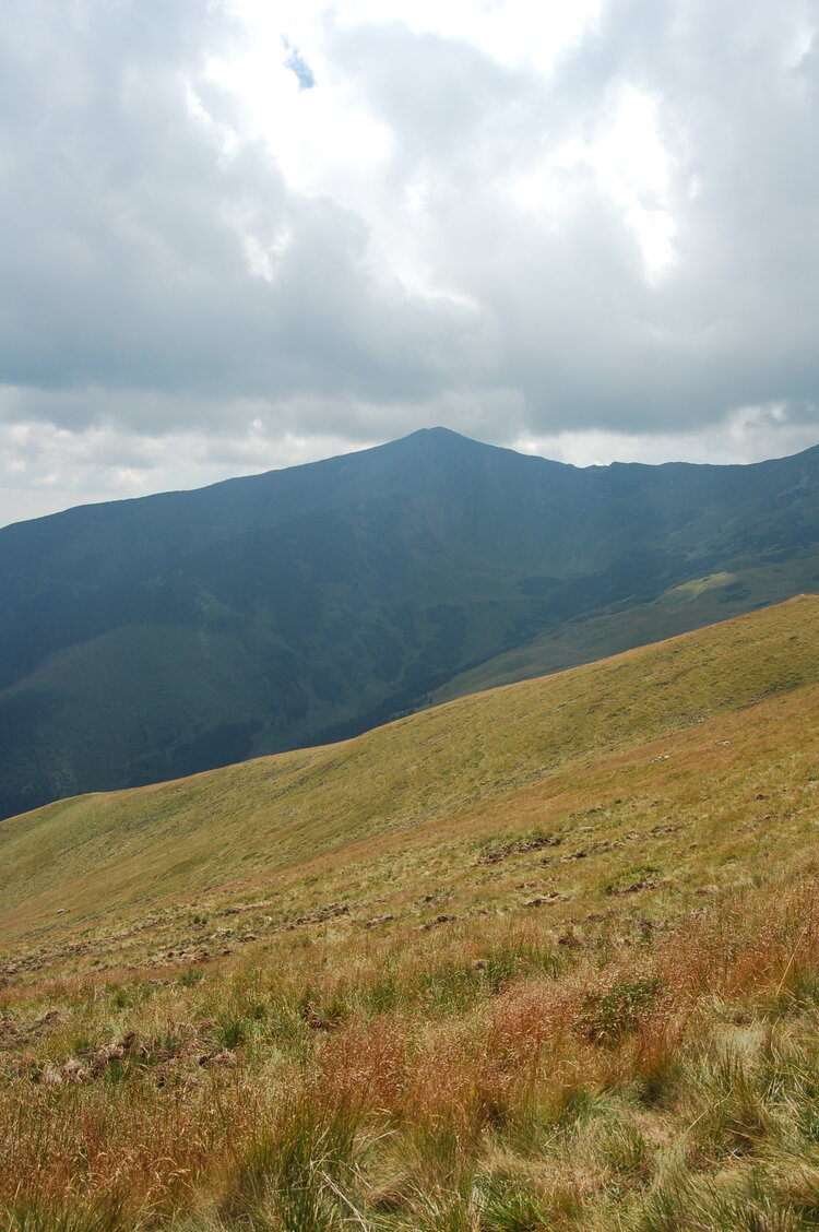 an06359.jpg