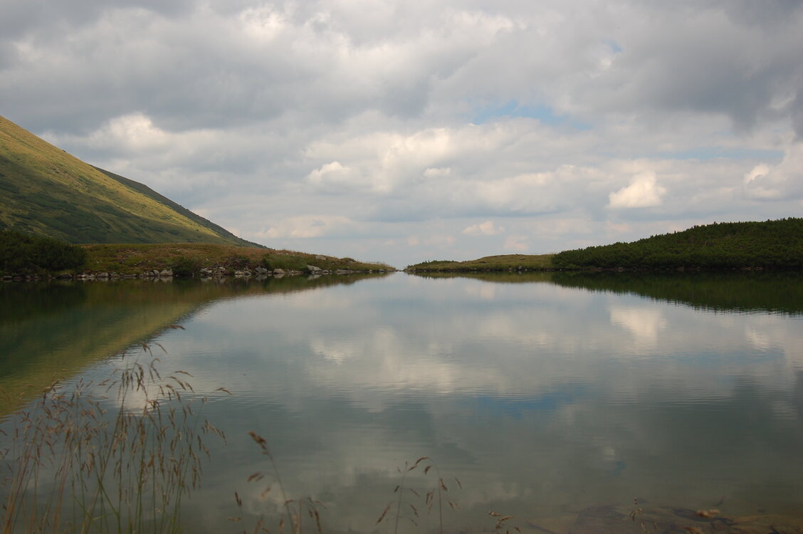 an06365.jpg