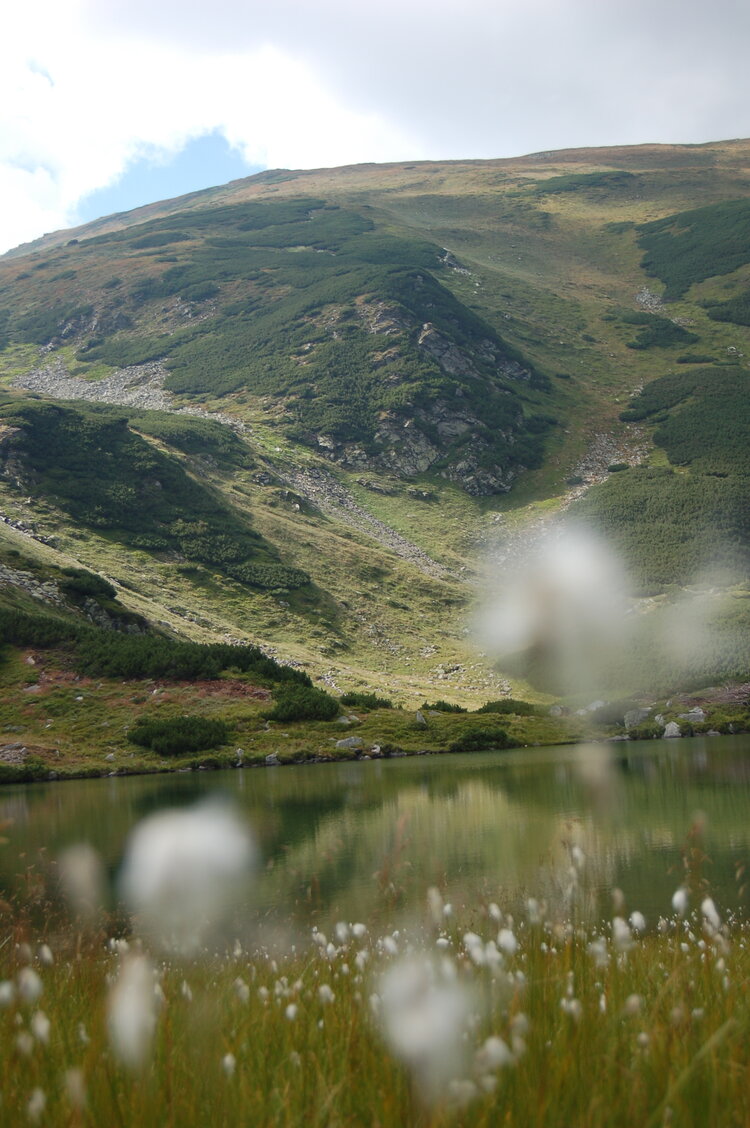 an06377.jpg