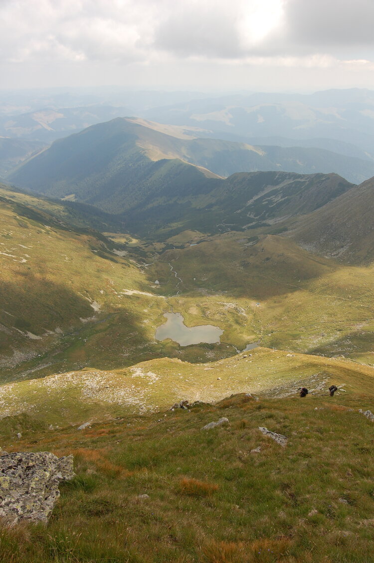 an06407.jpg