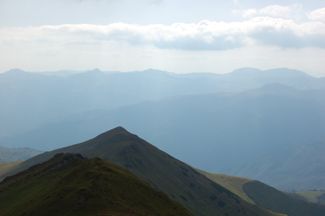 an06428.jpg