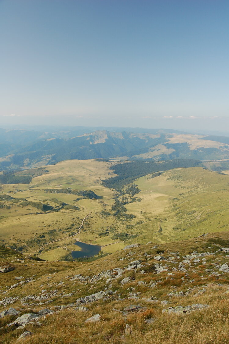an06439.jpg