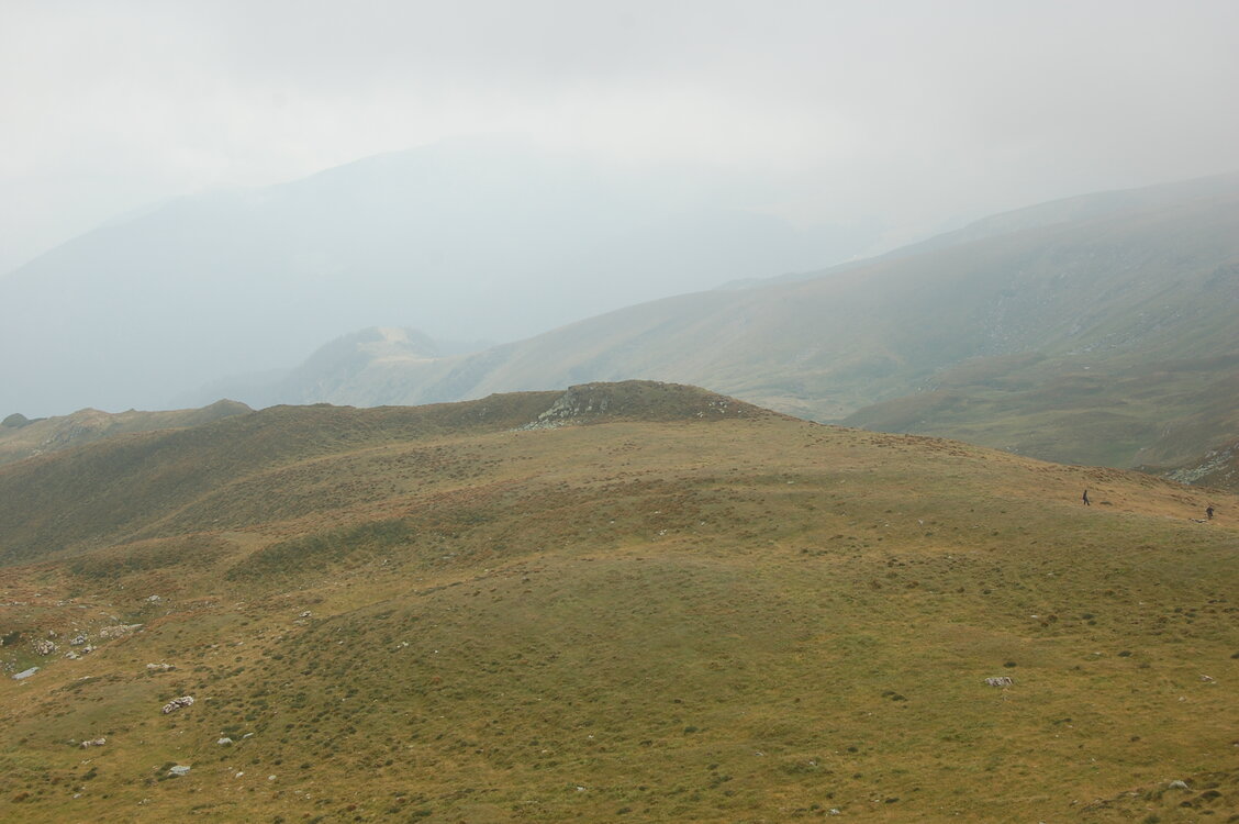 an06467.jpg