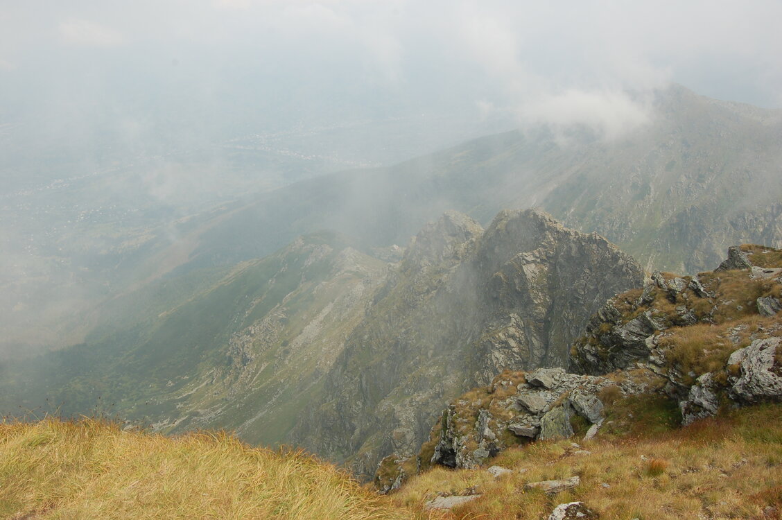 an06485.jpg