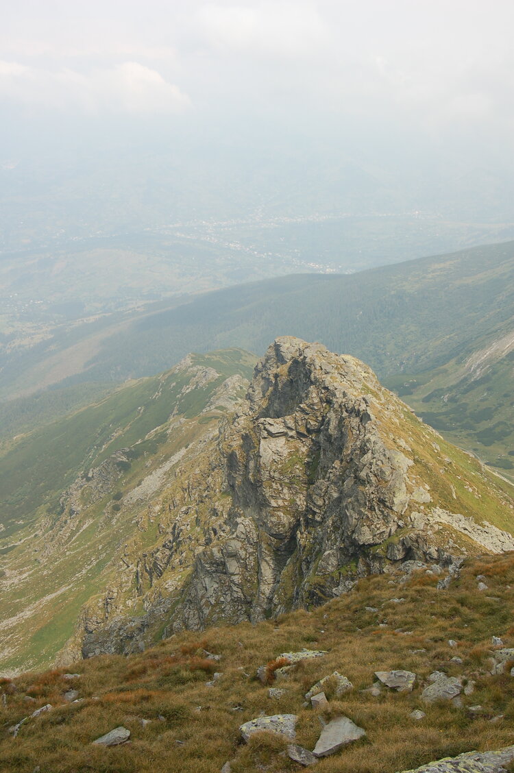 an06499.jpg