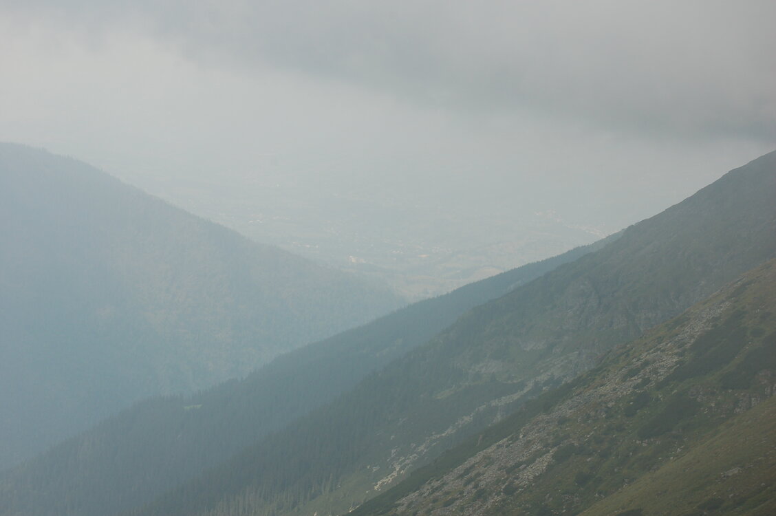an06506.jpg