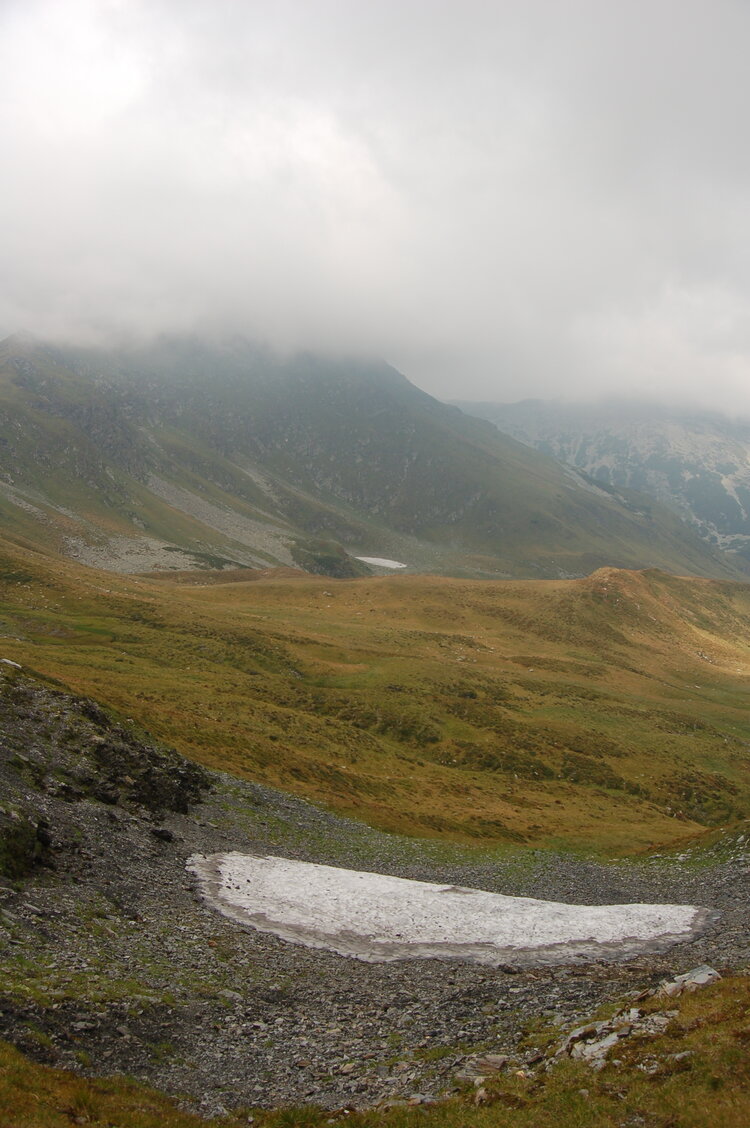 an06520.jpg