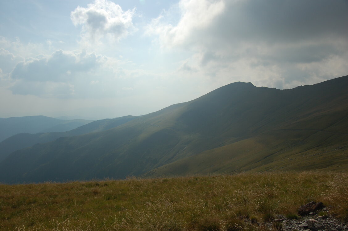 an06533.jpg