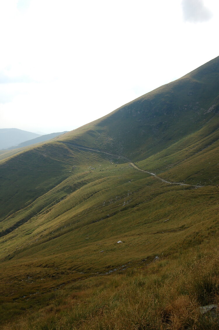 an06537.jpg