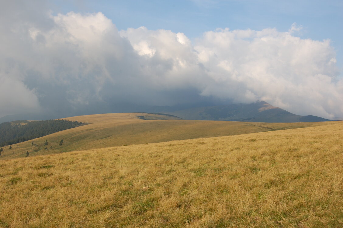 an06569.jpg