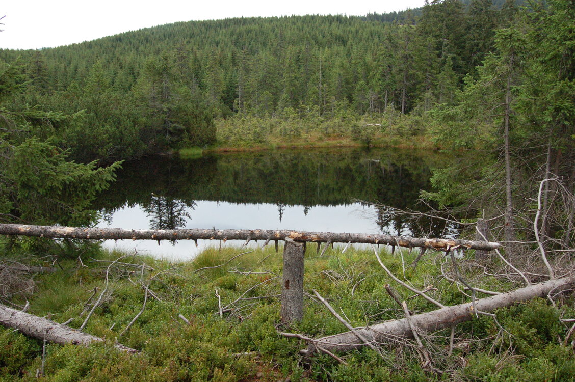 an06585.jpg