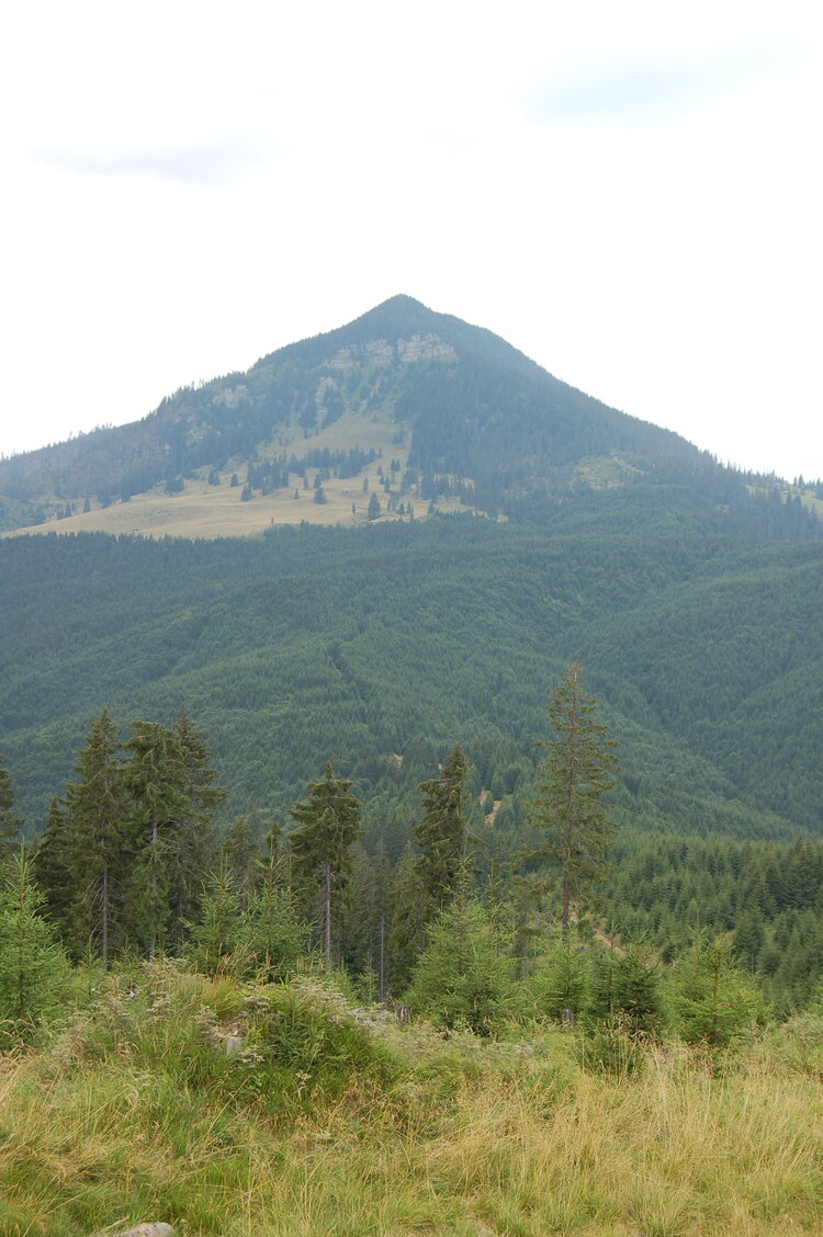 an06593.jpg