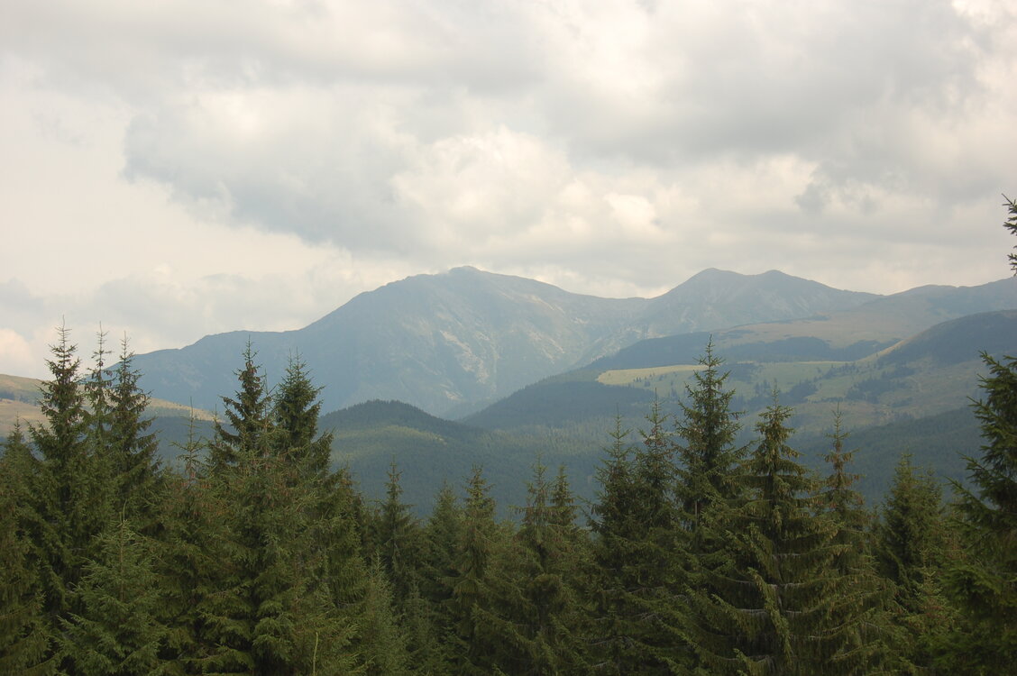 an06598.jpg