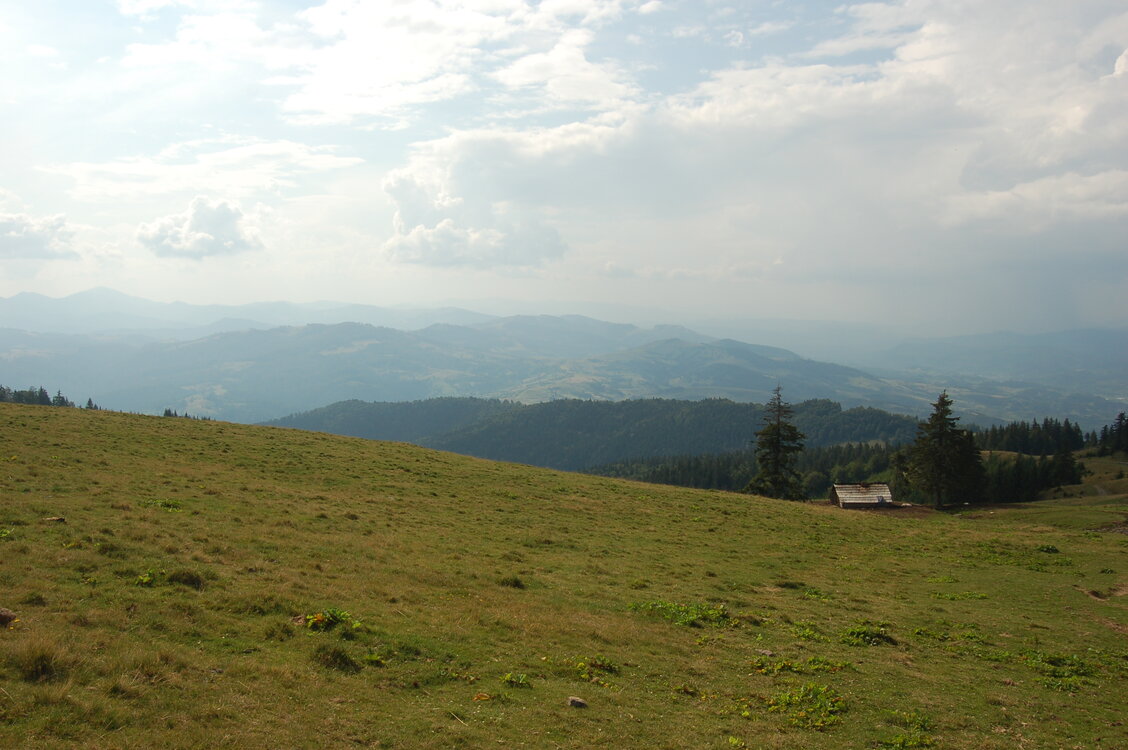 an06606.jpg