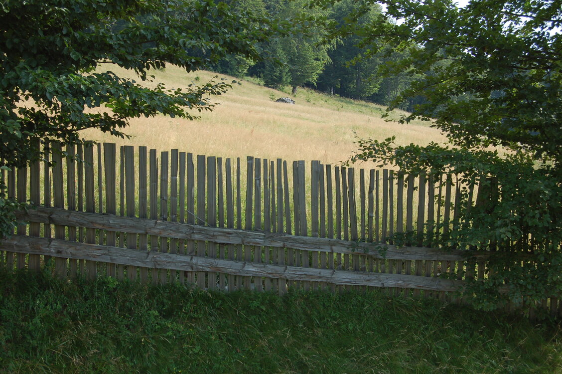 an06609.jpg