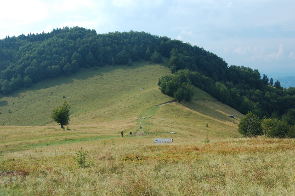 an06617.jpg