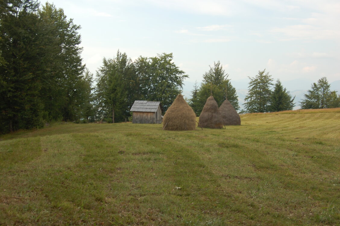 an06622.jpg