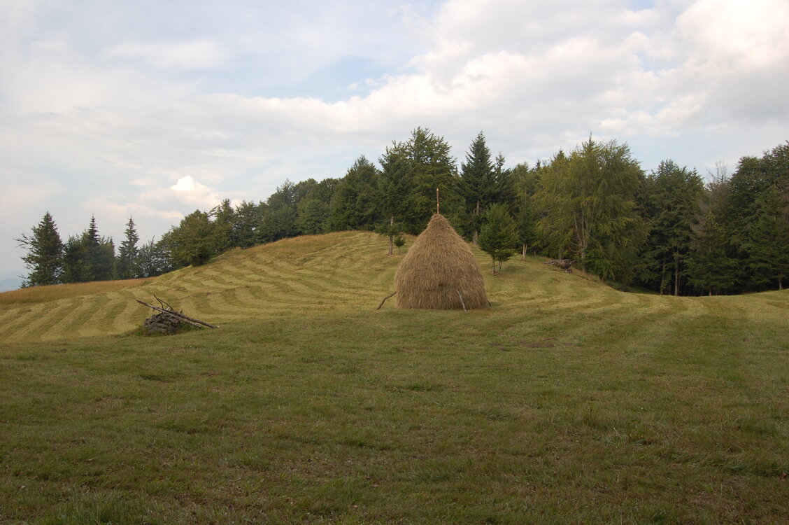 an06623.jpg