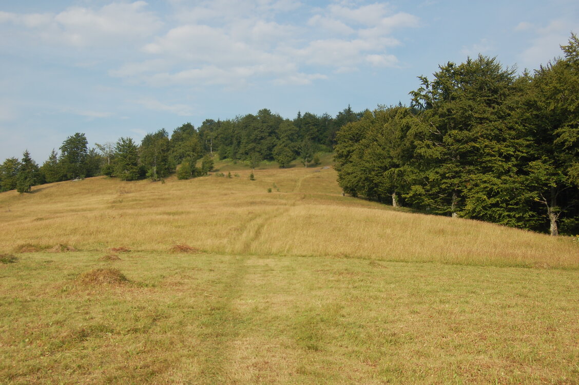 an06625.jpg