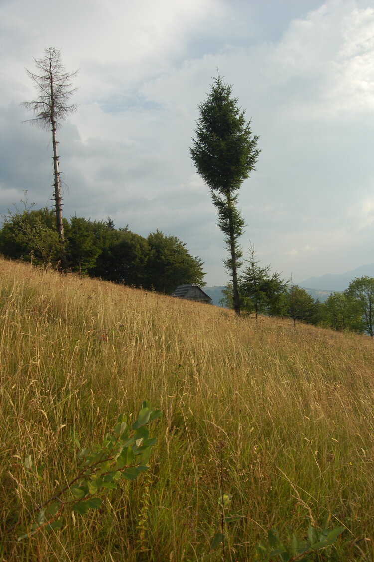 an06626.jpg